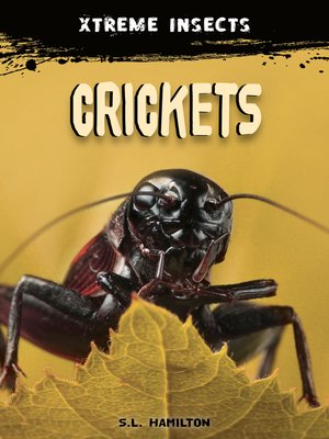 cover image of Crickets